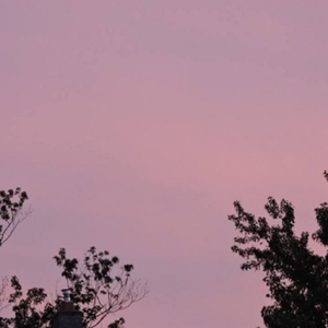 宫本留衣中文字幕在线
