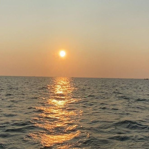 宫本留衣中文字幕在线
